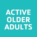 2025 AOA Bingo Sponsorships - logo